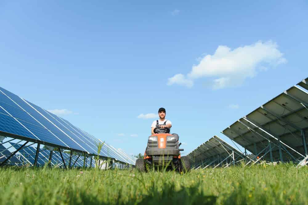 Solar Farm Mowing & Maintenance image