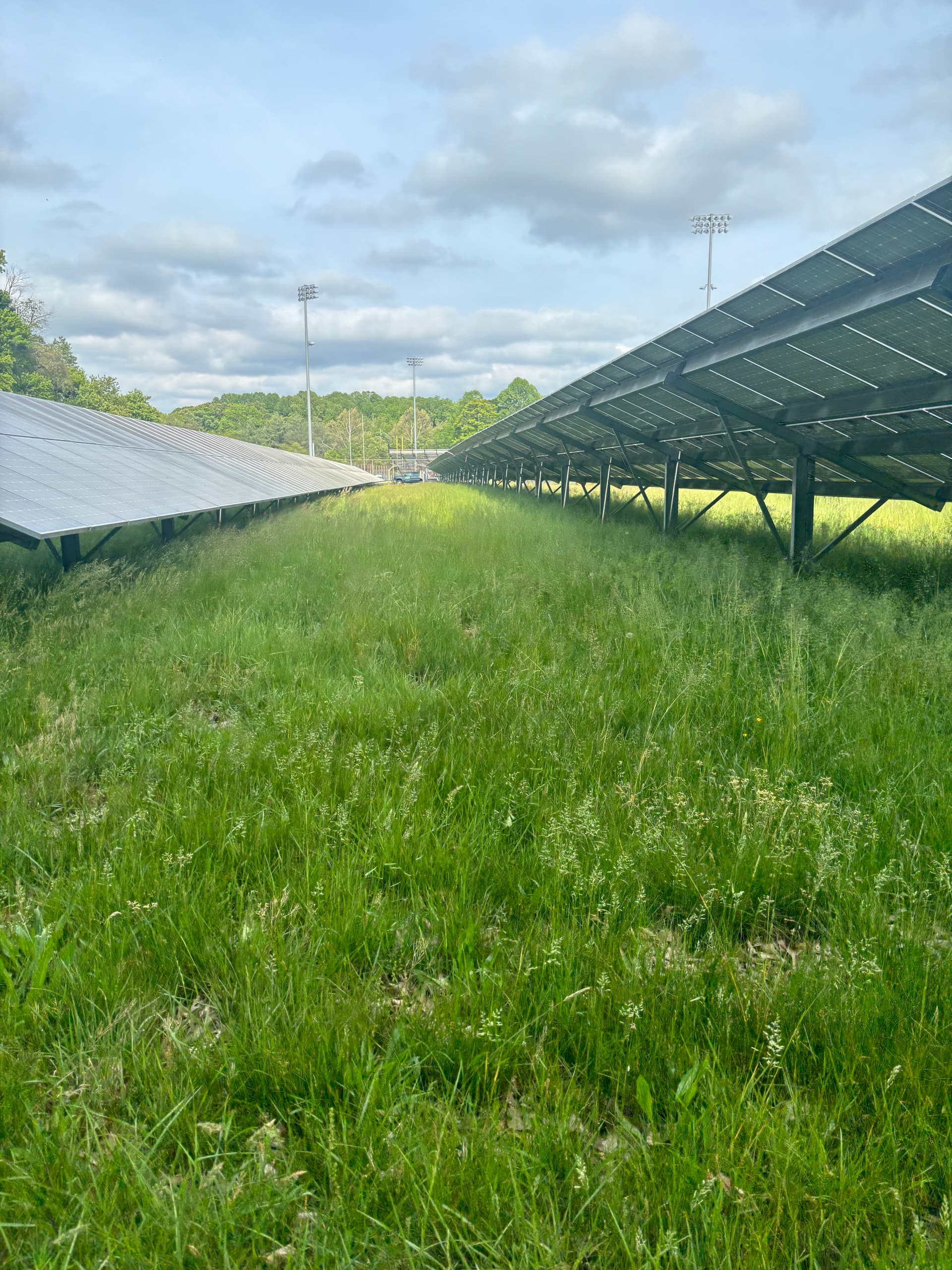Gallery photos for Solar Site Mowing Underway in Bowie: Image #1