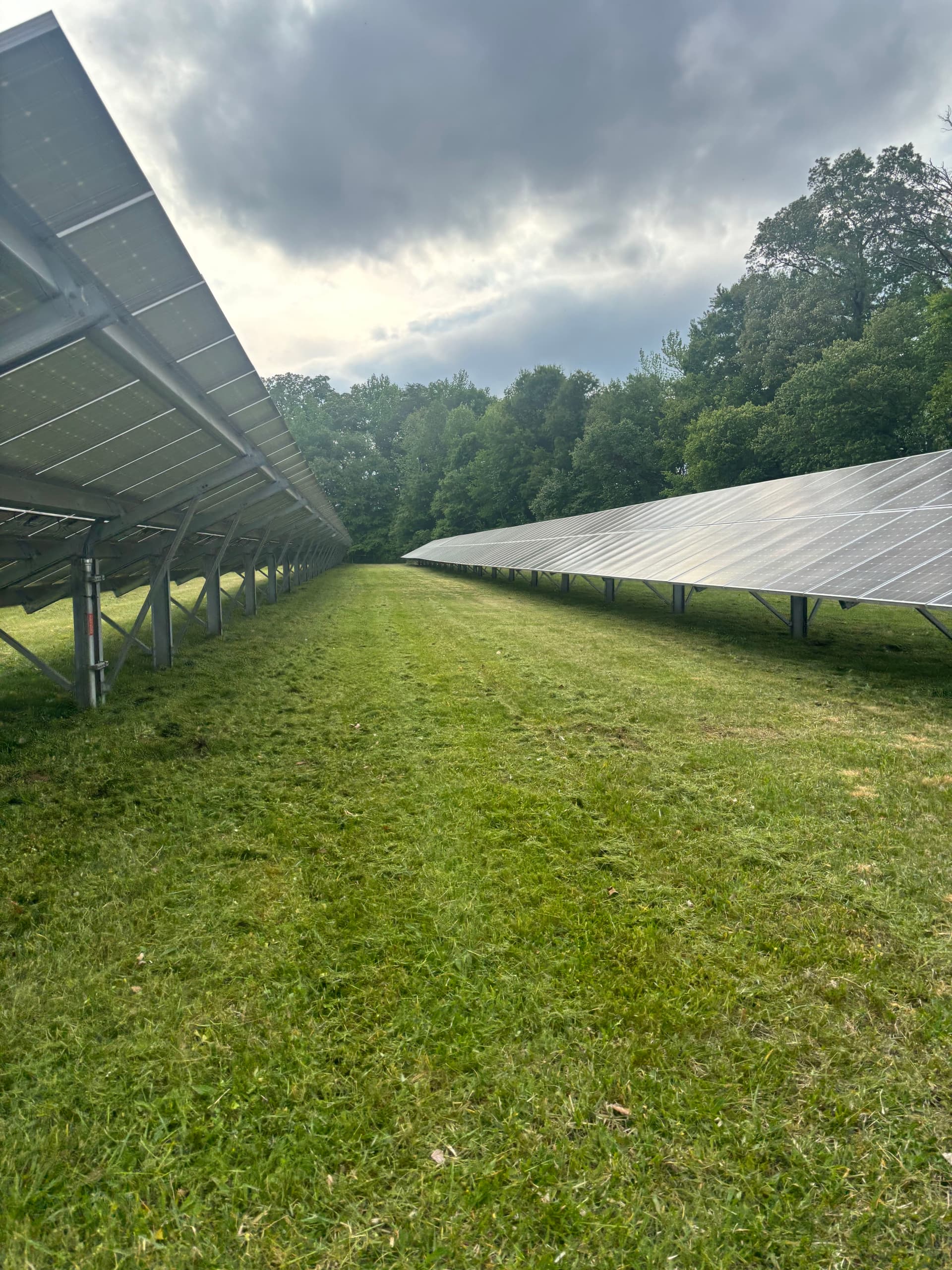 Gallery photos for Solar Site Mowing Underway in Bowie: Image #6
