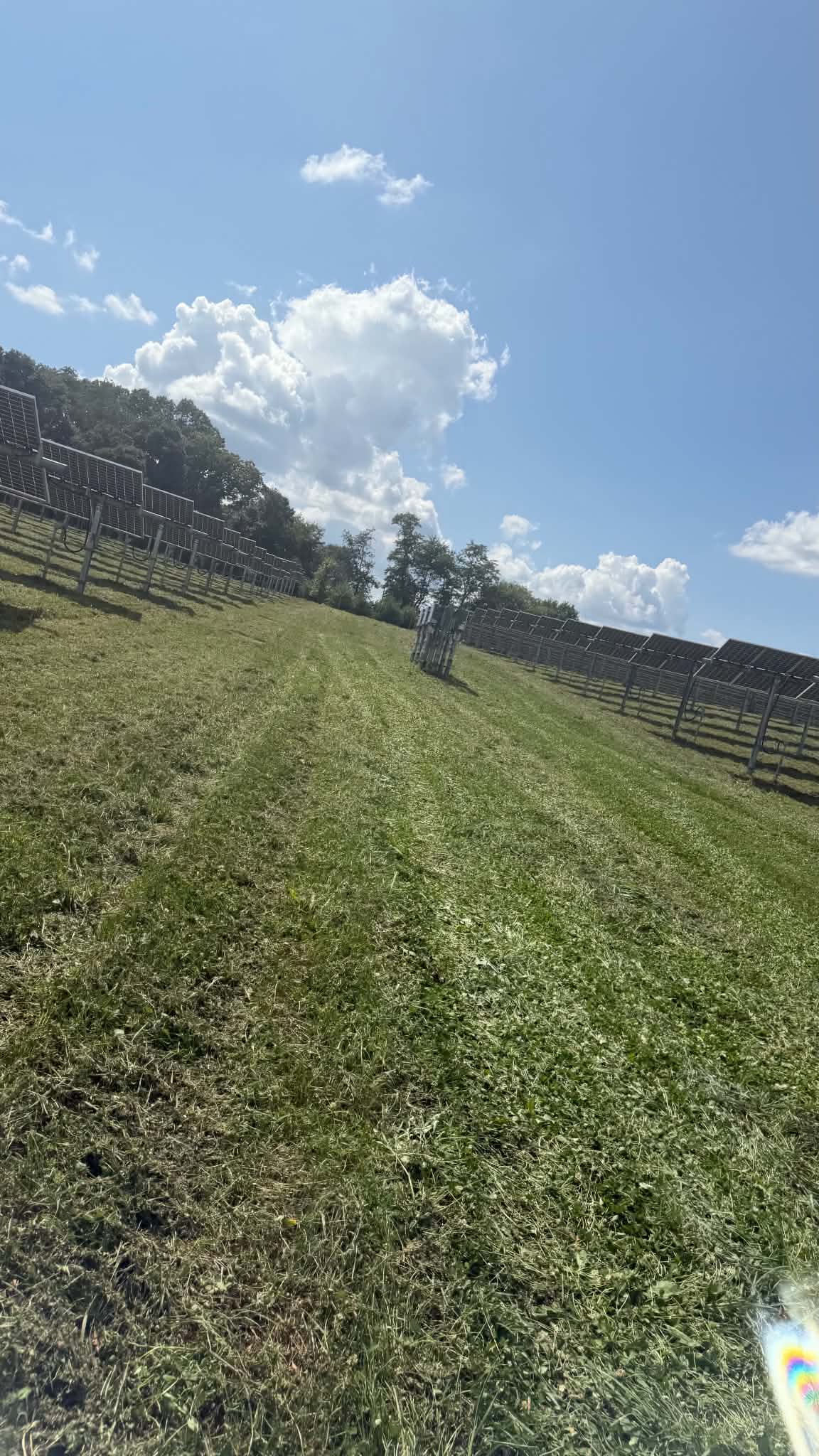 Project Maryland Solar Farm Mowing Done Right image