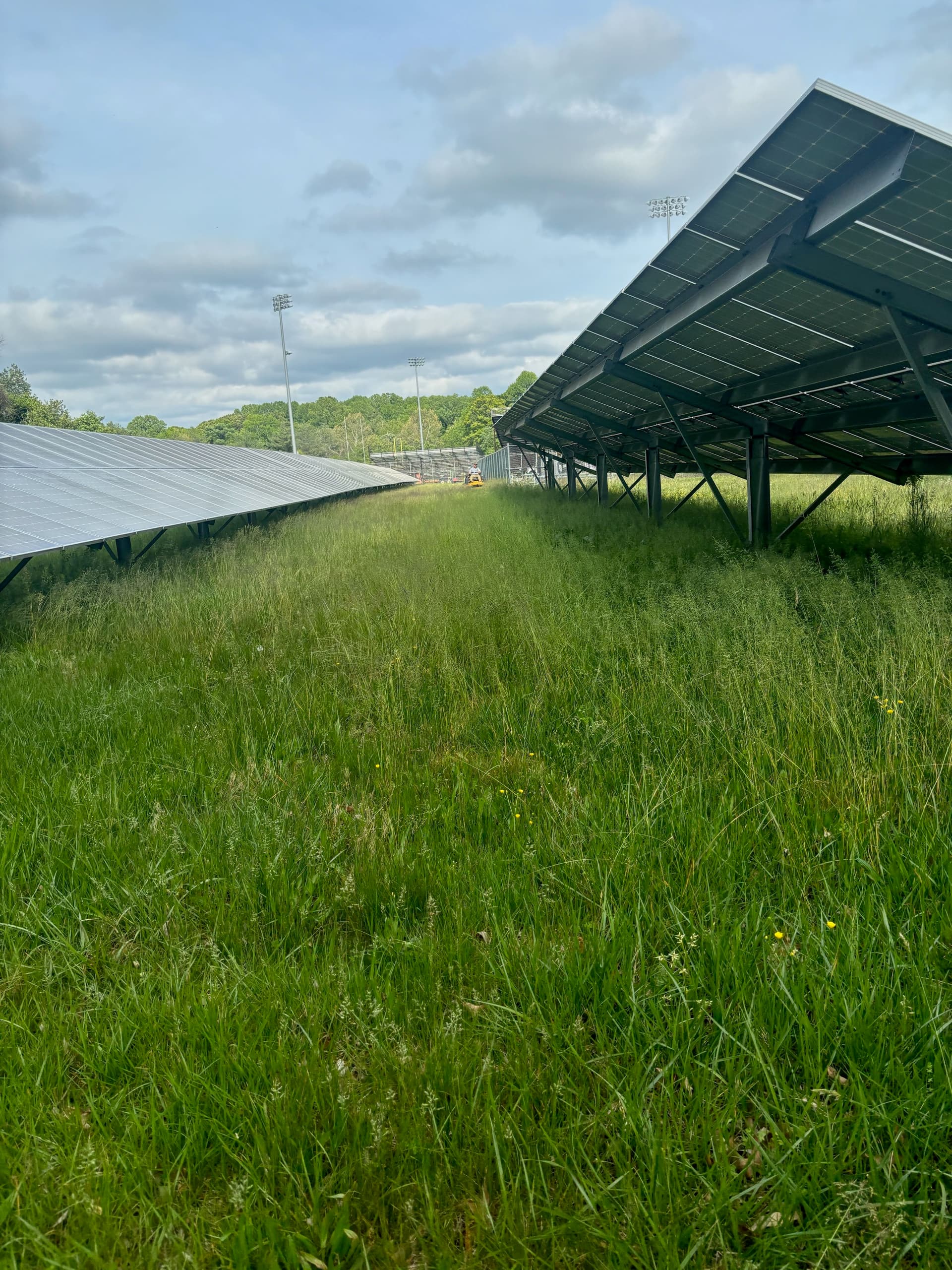 Gallery photos for Solar Site Mowing Underway in Bowie: Image #2