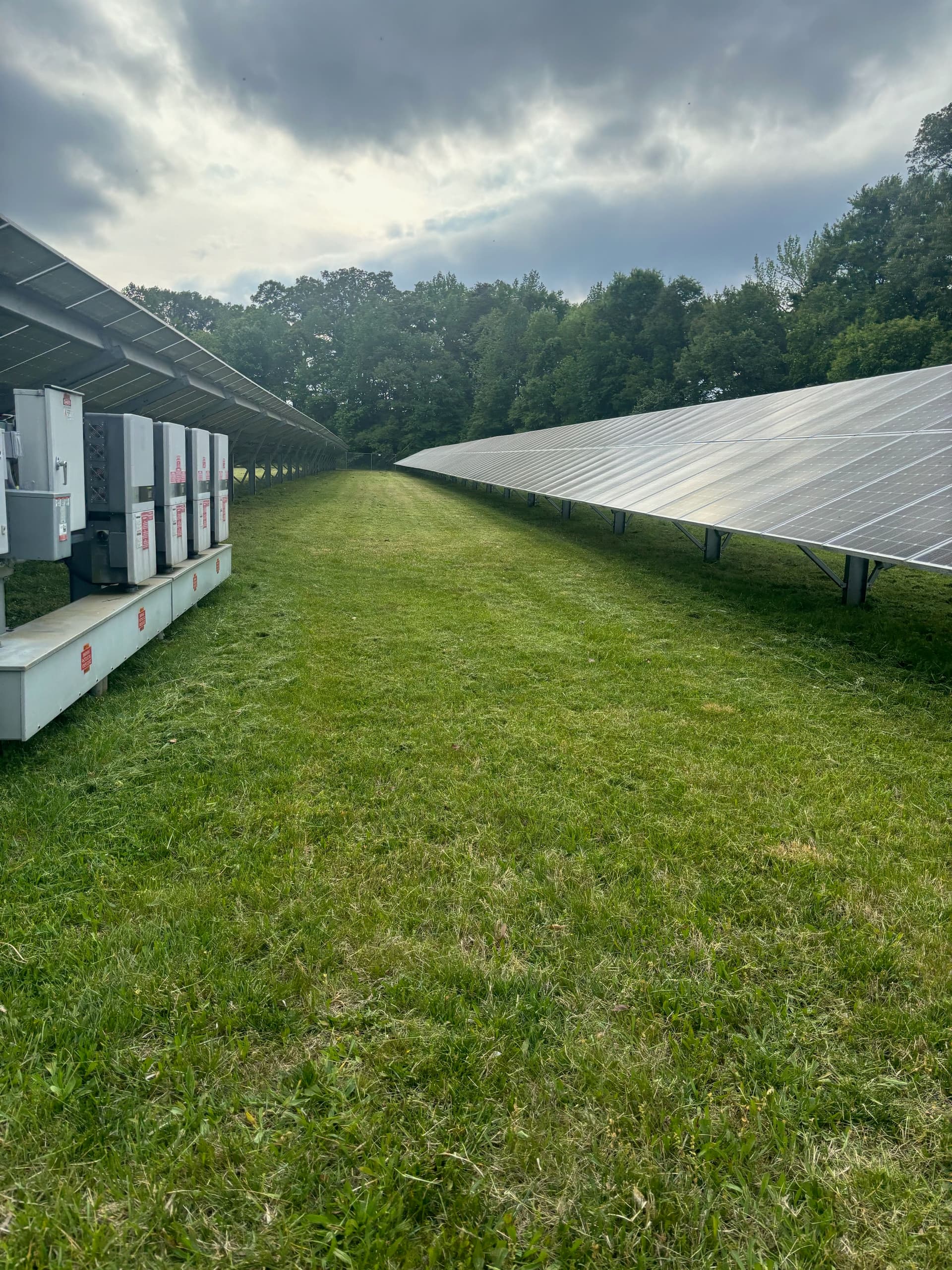 Gallery photos for Solar Site Mowing Underway in Bowie: Image #5
