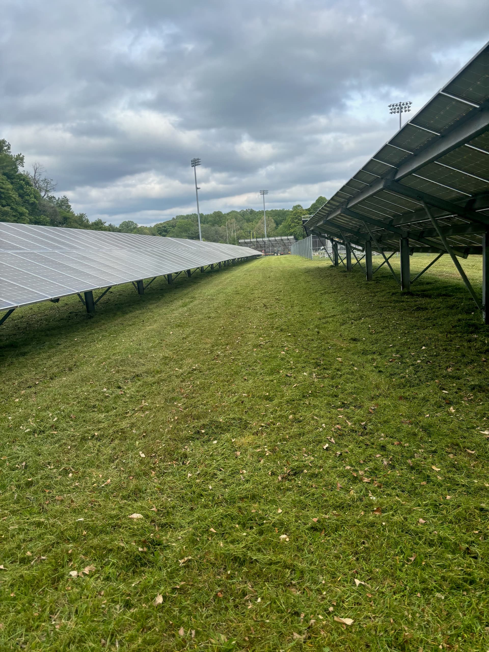 Gallery photos for Solar Site Mowing Underway in Bowie: Image #7