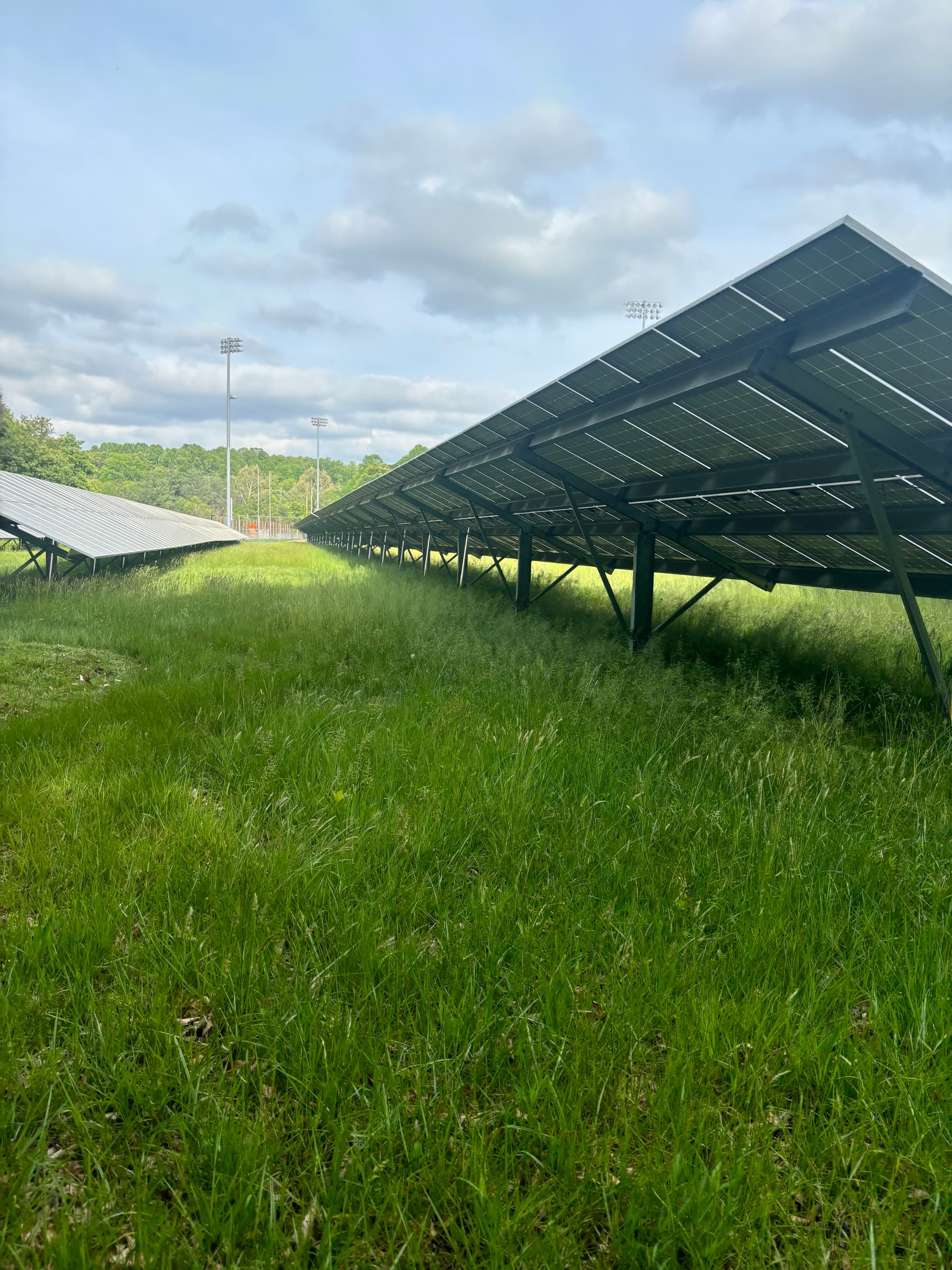 Gallery photos for Solar Site Mowing Underway in Bowie: Image #3