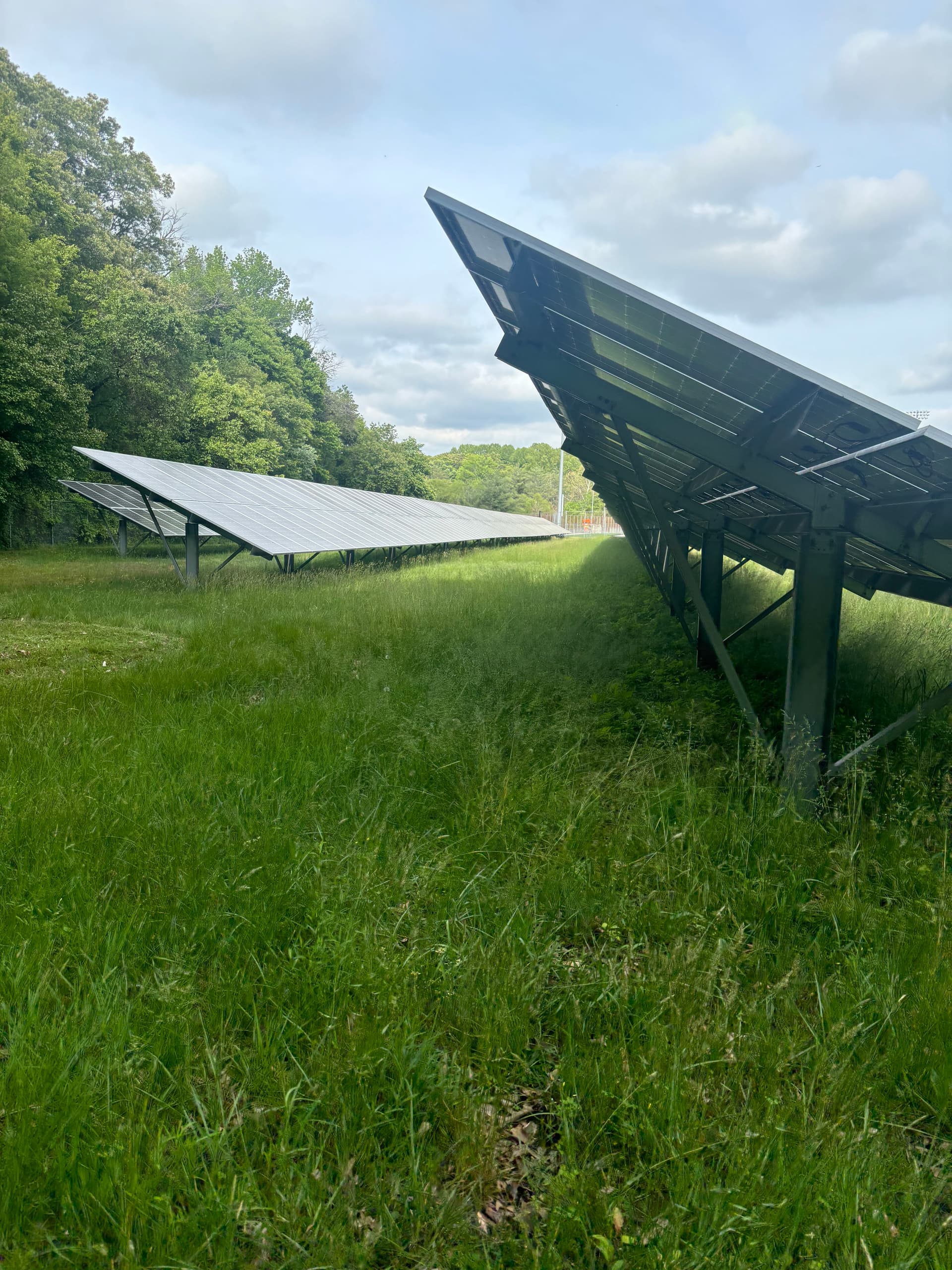 Solar Site Mowing Underway in Bowie image