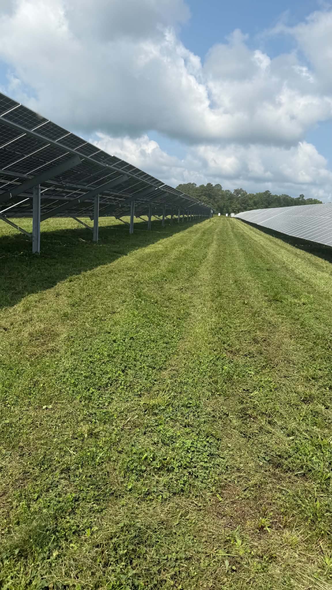 Gallery photos for Solar Farm Mowing and Grounds Maintenance in Pasadena MD: Image #1
