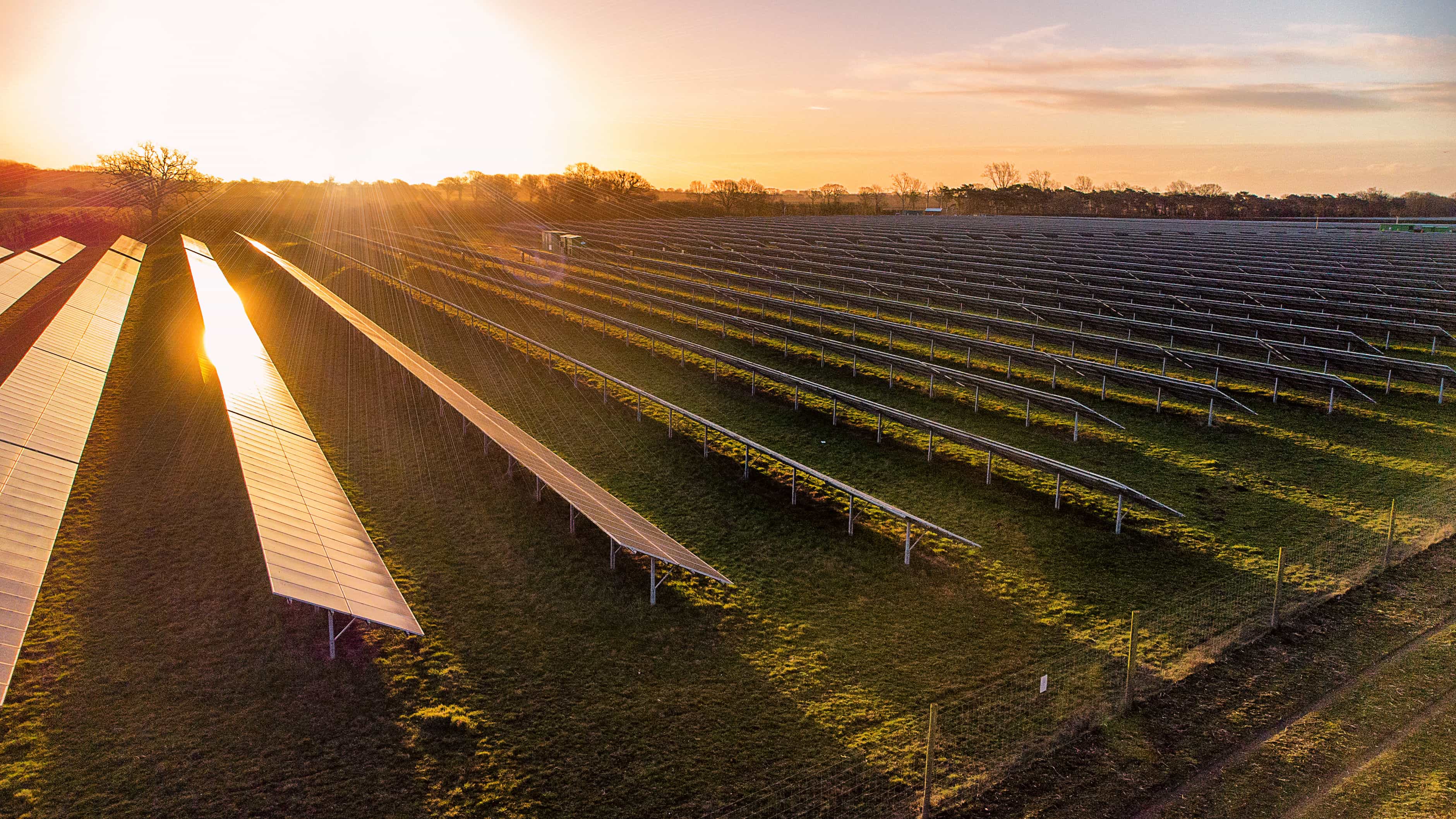 Hero image for Mowing and Growing Lawn Care