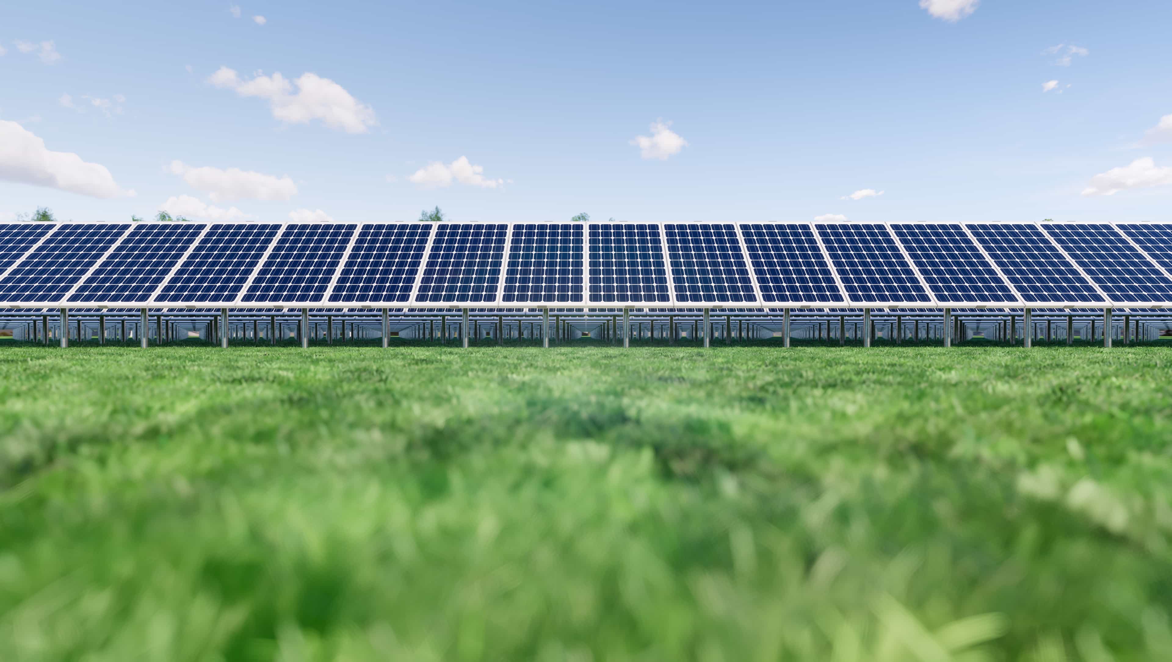 Hero image for Mowing and Growing Lawn Care