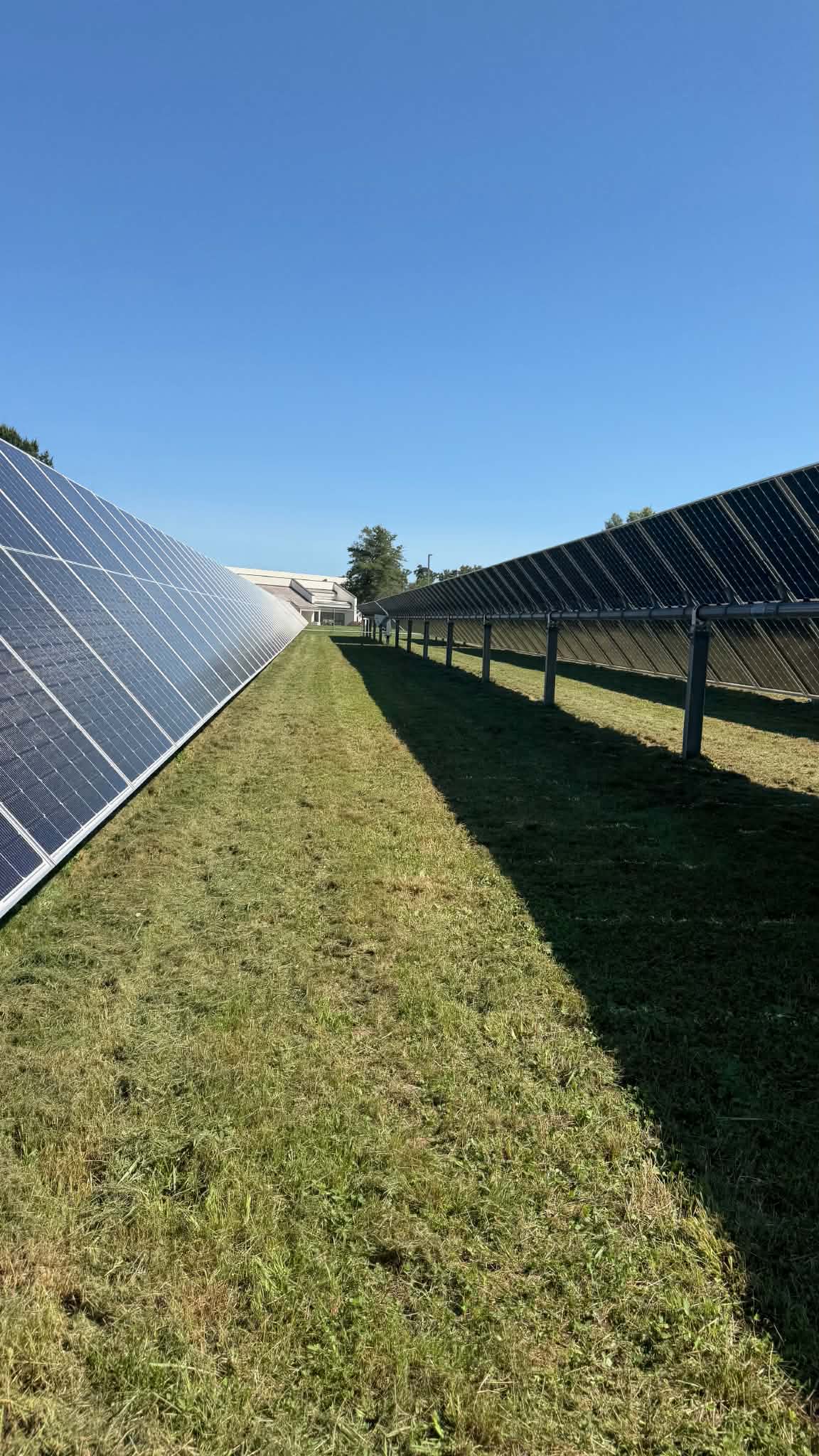 Gallery photos for Solar Farm Mowing and Grounds Maintenance in Pasadena MD: Image #6