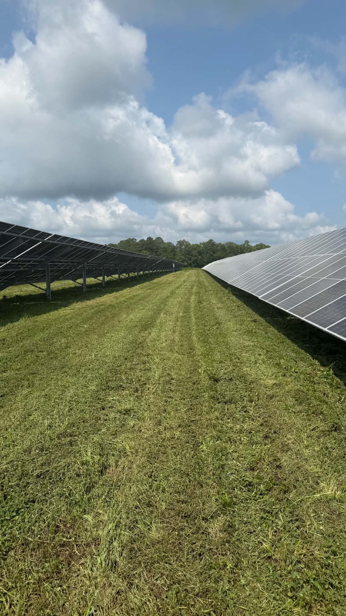 Gallery photos for Solar Farm Mowing and Grounds Maintenance in Pasadena MD: Image #2