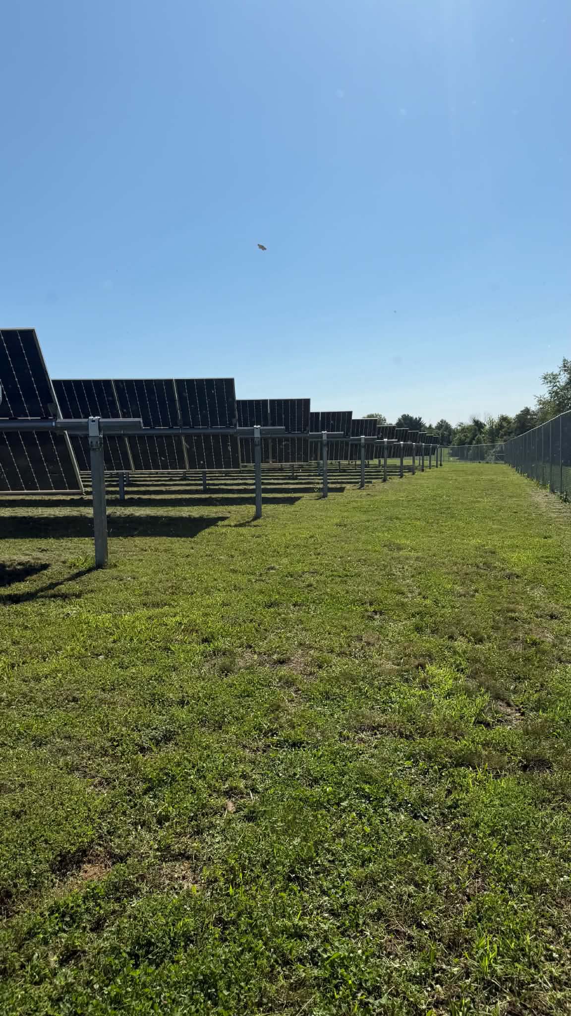 Gallery photos for Solar Farm Mowing and Grounds Maintenance in Pasadena MD: Image #4