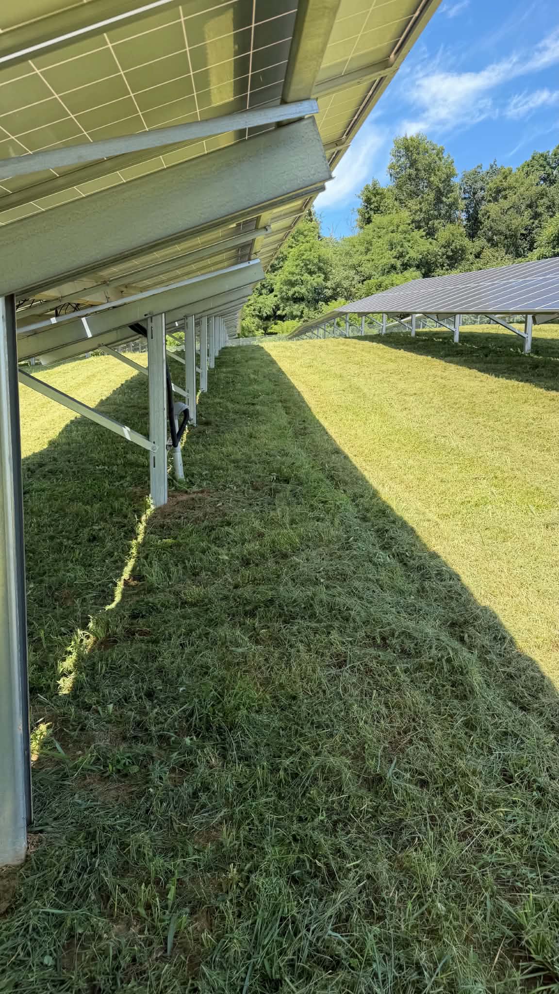 Gallery photos for Maryland Solar Farm Mowing Done Right: Image #1