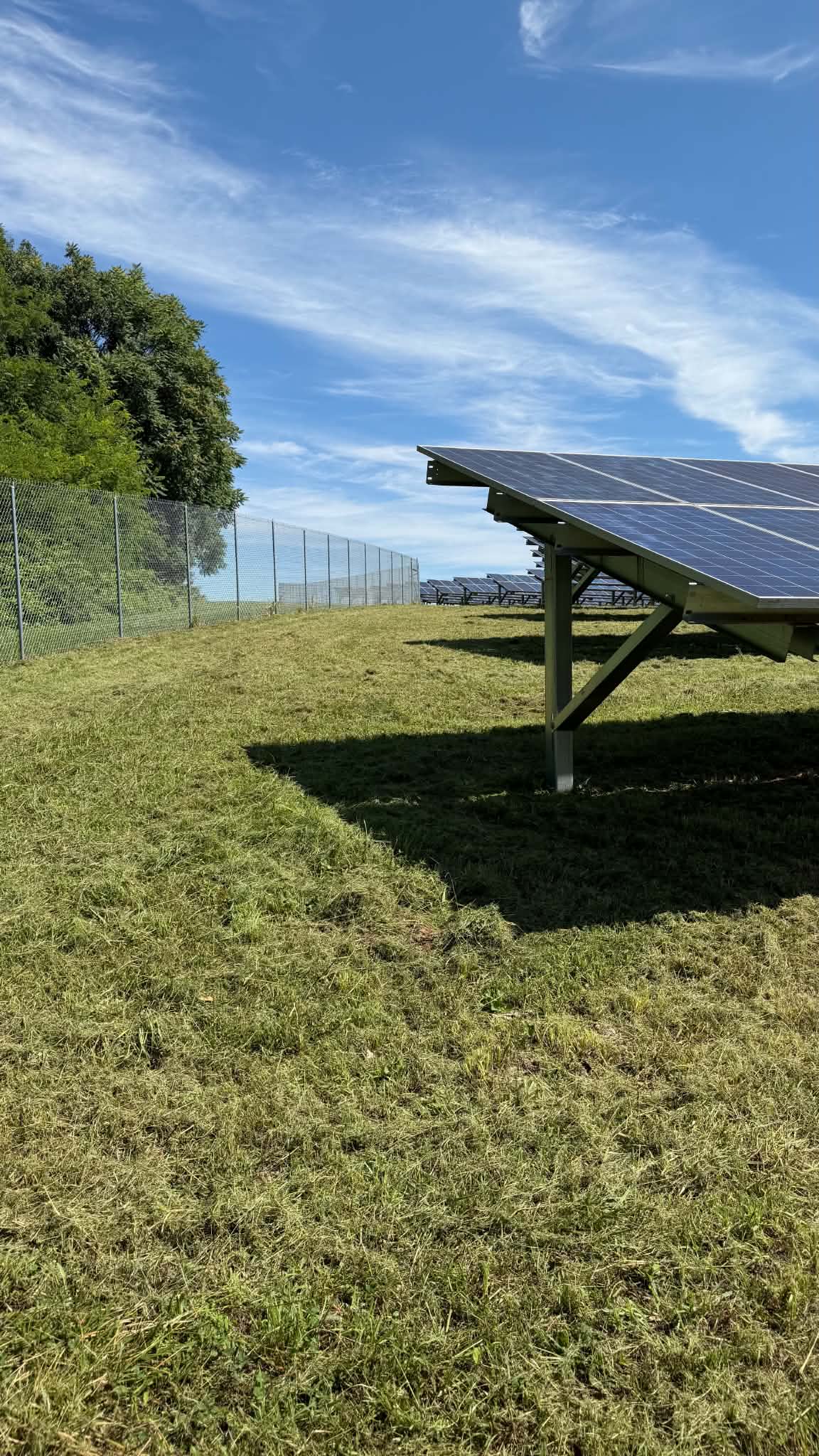 Gallery photos for Maryland Solar Farm Mowing Done Right: Image #3
