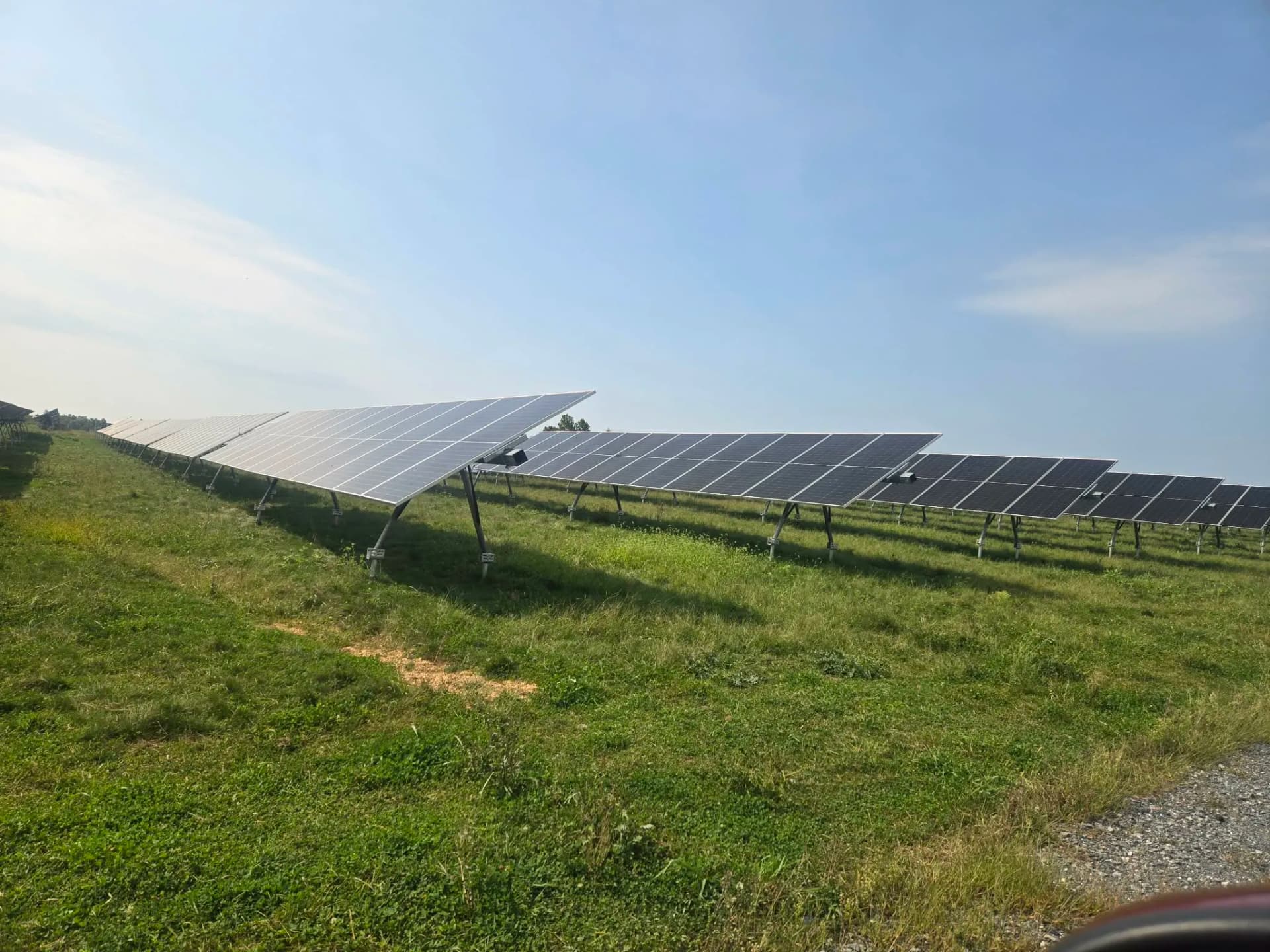 Gallery photos for Sheep Grazing on Solar Farms - A Smarter Way to Manage Land: Image #3