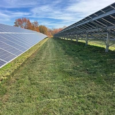 Gallery photos for Lawn Maintenance at Upper Marlboro Solar Farms: Image #2