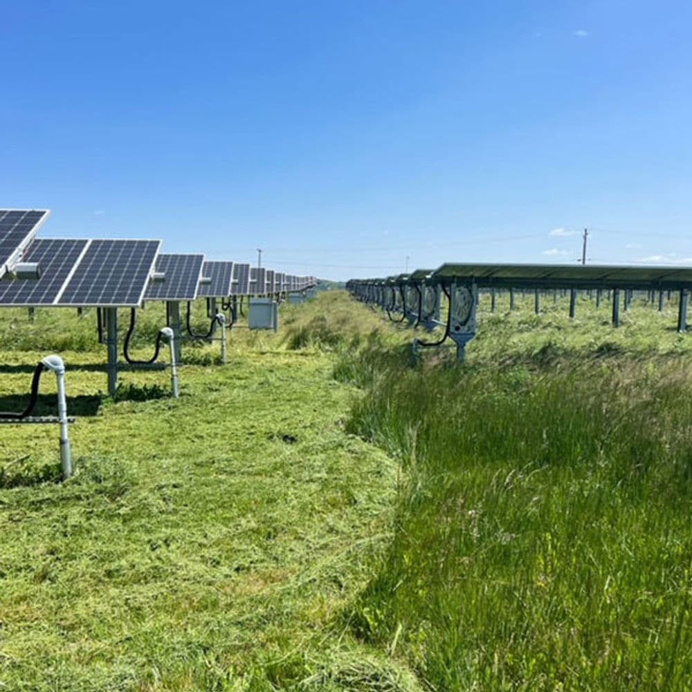 Solar panels in a green field under a clear blue sky, showcasing renewable energy technology.