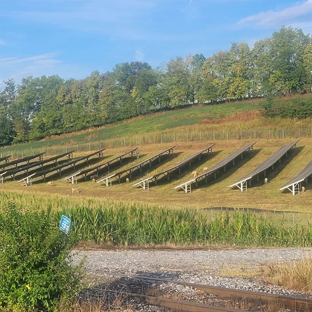 About Mowing and Growing Lawn Care